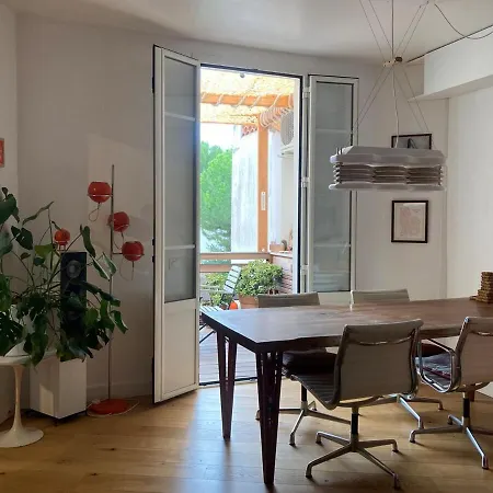 Unique With Cat In Cap Dantibes