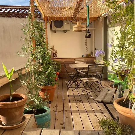 Unique With Cat In Cap Dantibes Appartement Antibes