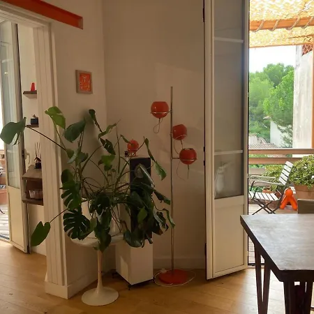 Unique With Cat In Cap Dantibes Apartman Antibes