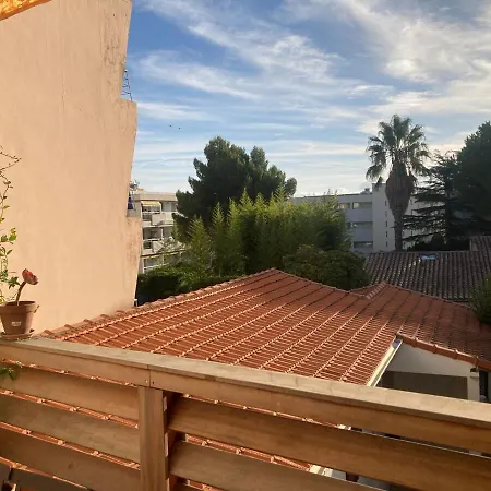 Unique With Cat In Cap Dantibes Appartement Antibes