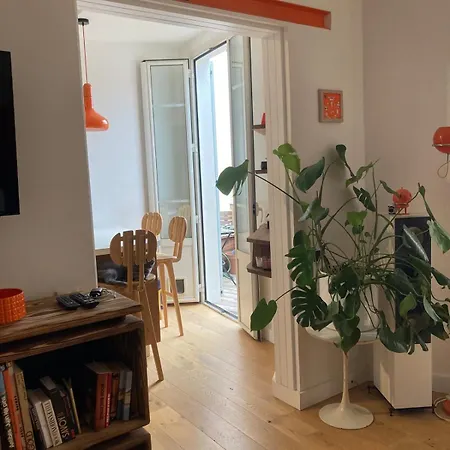 Unique With Cat In Cap Dantibes Appartement Antibes