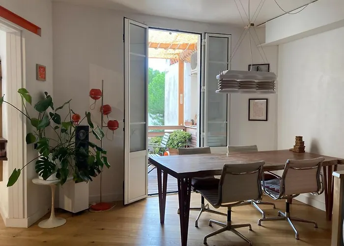 Unique With Cat In Cap Dantibes