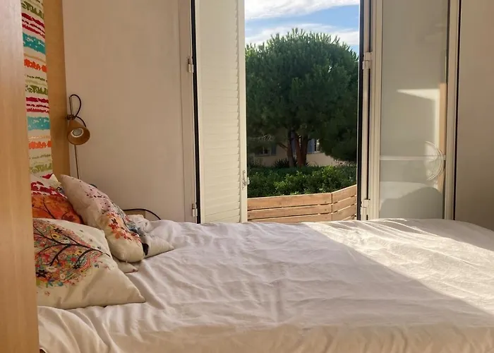 Unique With Cat In Cap Dantibes *