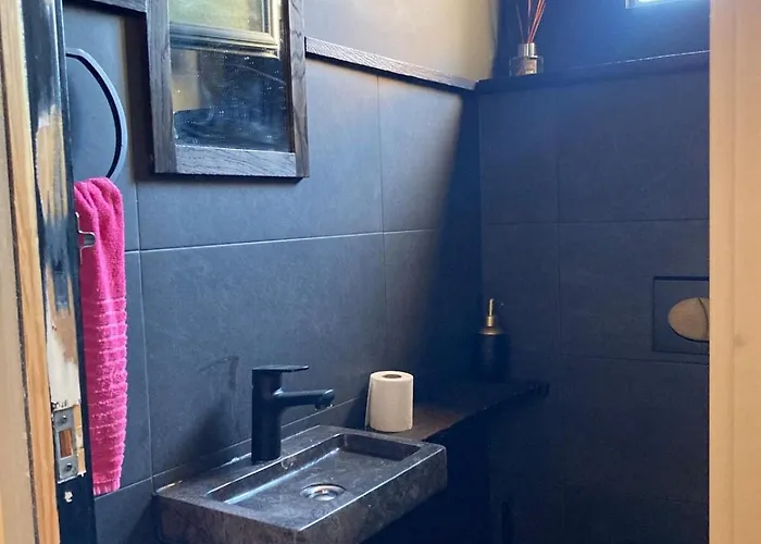 Unique With Cat In Cap Dantibes