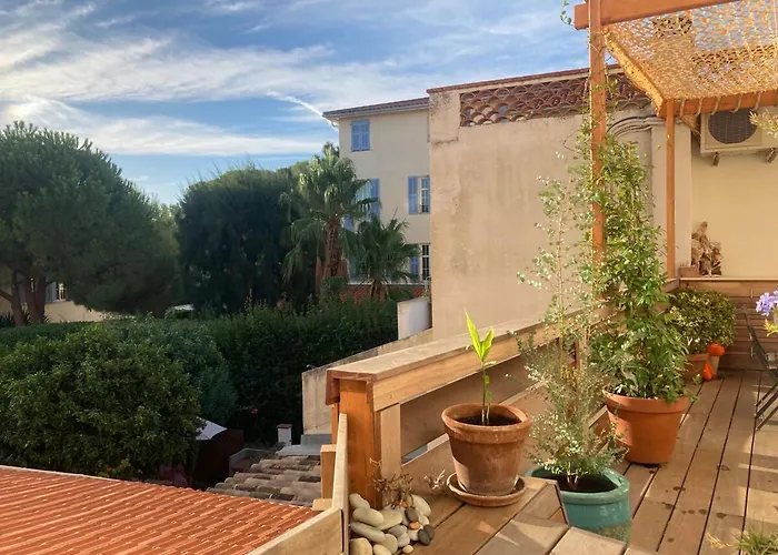 Unique With Cat In Cap Dantibes *