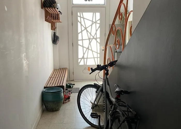 Unique With Cat In Cap Dantibes