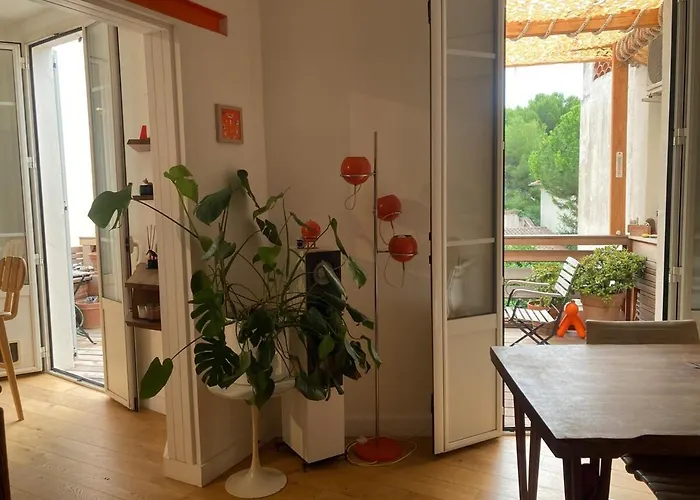 Unique With Cat In Cap Dantibes Daire Antibes