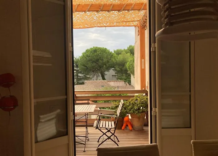 Unique With Cat In Cap Dantibes Daire Antibes