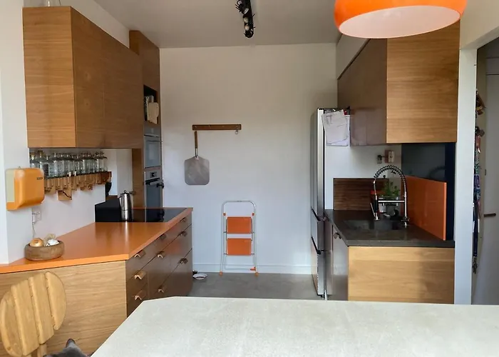 Unique With Cat In Cap Dantibes Daire Antibes