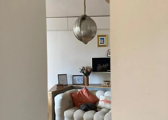 Unique With Cat In Cap Dantibes *