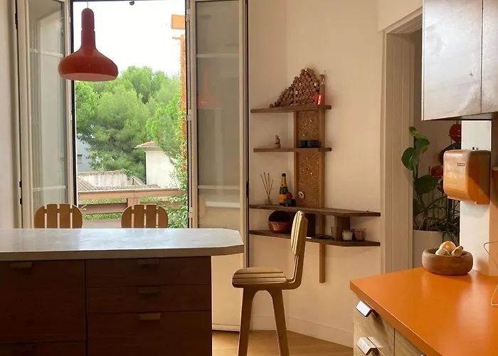 Unique With Cat In Cap Dantibes