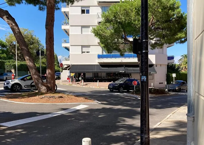 Daire Unique With Cat In Cap Dantibes