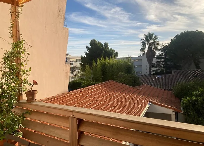 Unique With Cat In Cap Dantibes Daire Antibes