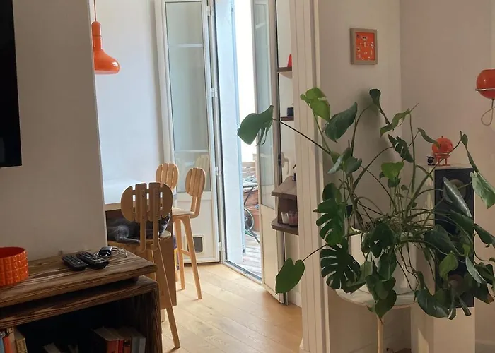 Unique With Cat In Cap Dantibes Daire Antibes